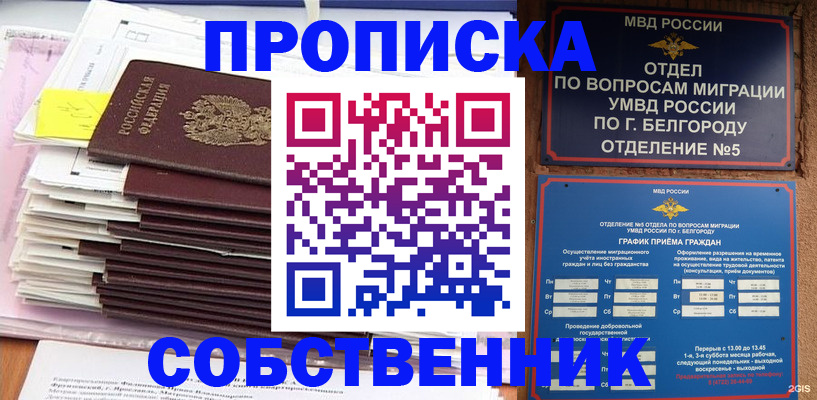 прописка законно в Новомосковске